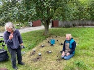 Two ladies planting orchids into a verge.